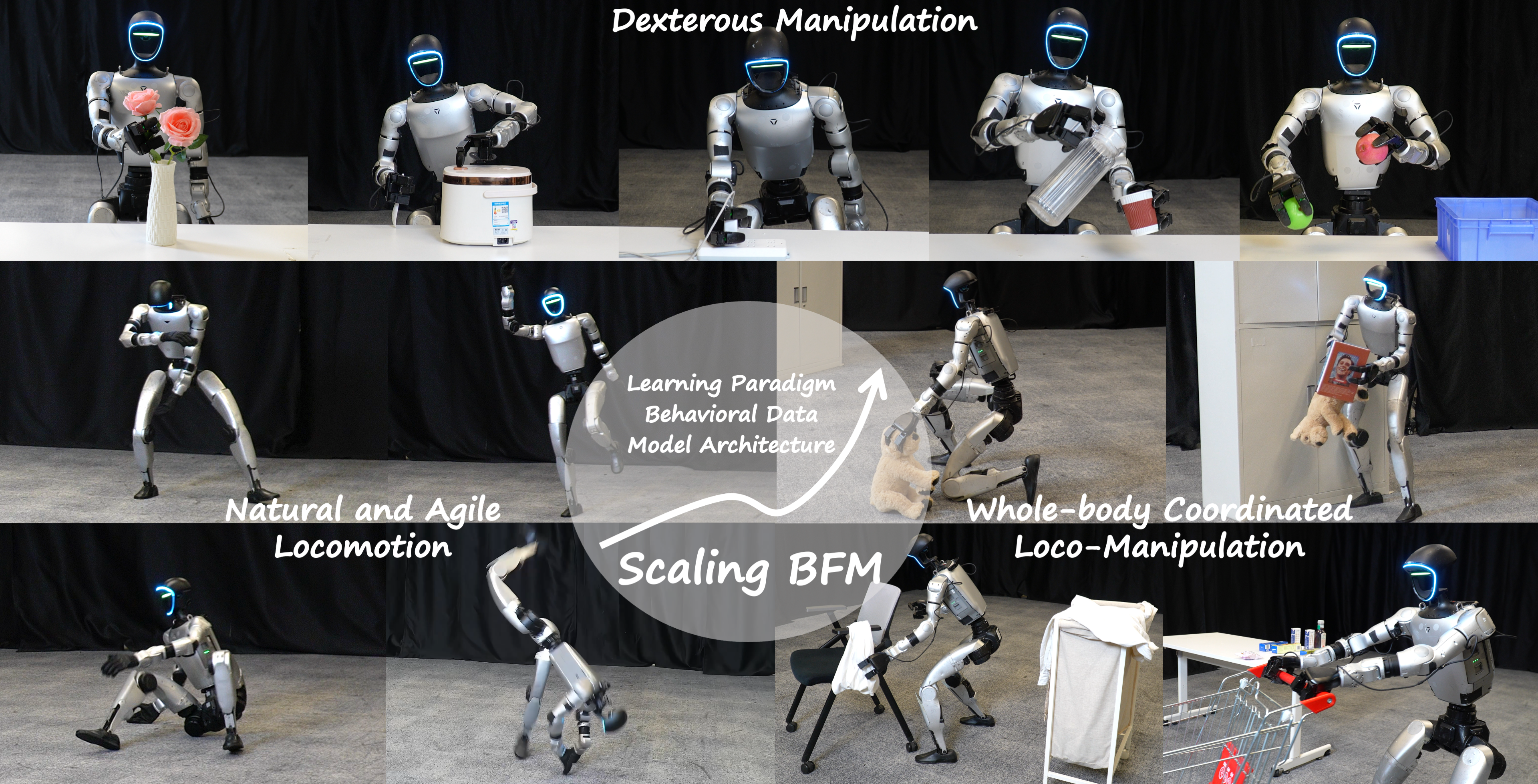 ScaleBFM overview figure
